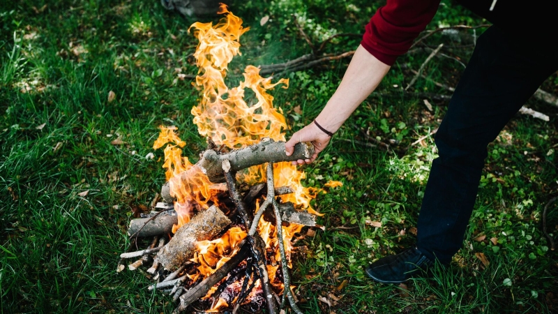 Штраф за нарушение правил пожарной безопасности в лесах может вырасти вдвое