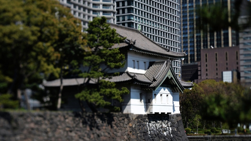 Посольство Японии планирует открыть в России визовые центры