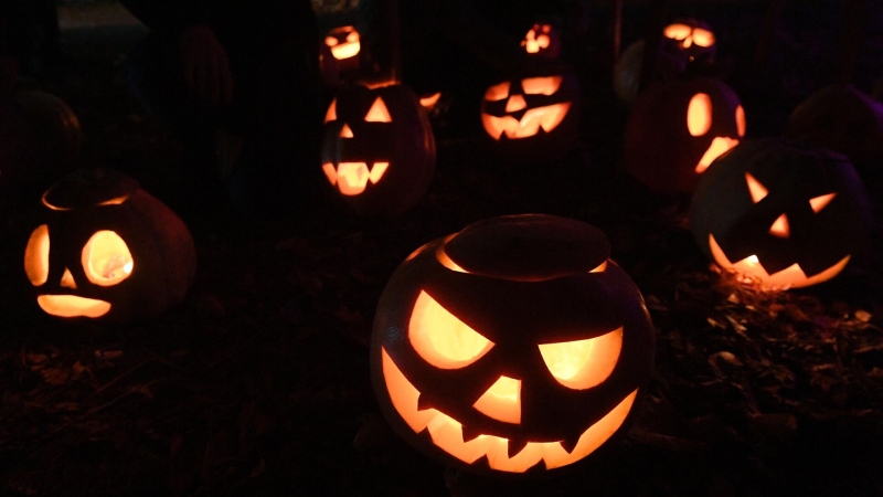 В РПЦ отметили опасное влияние западных идей на примере Хэллоуина