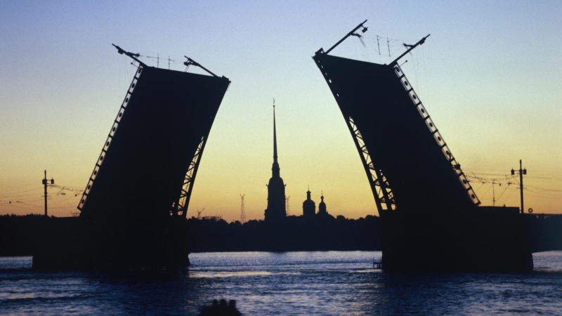 В Петербурге хакеры разместили рекламу вебкам-студии на сайте колледжа