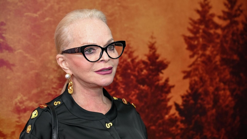 Депутат ГД обозначил ключевые риски для Верховного суда в деле Долиной