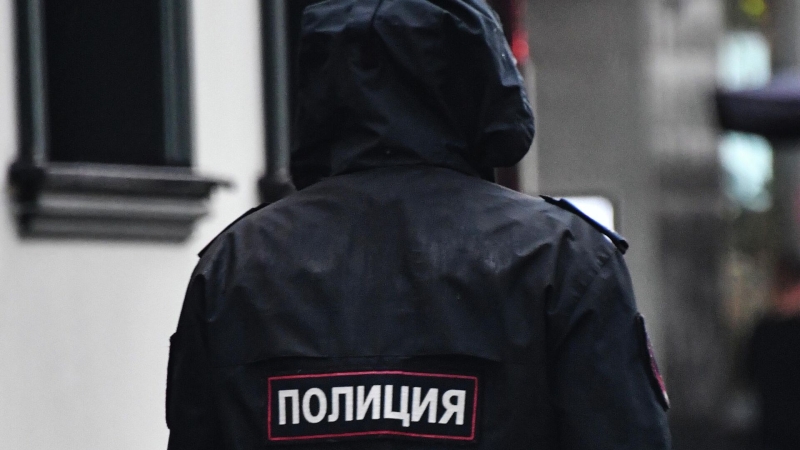 МВД предупредило о мошенничестве под видом работодателей