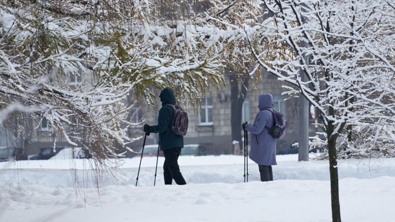 Лже-колл-центров прямой линии с Путиным пока не фиксировали, сообщил Песков
