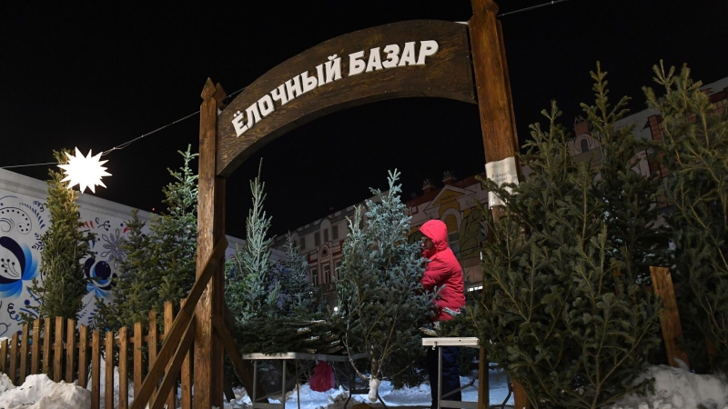 В ОП предупредили о штрафе за неправильную утилизацию новогодней елки