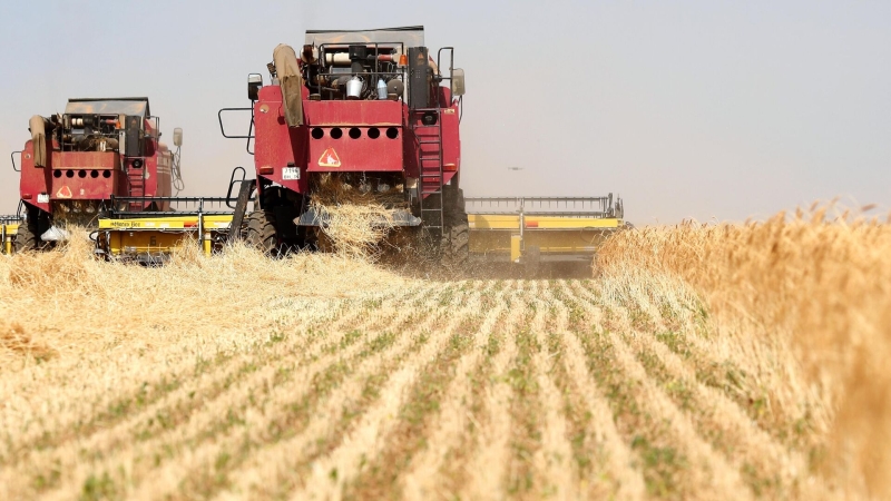 Мишустин дал поручение проработать господдержку инноваций в АПК